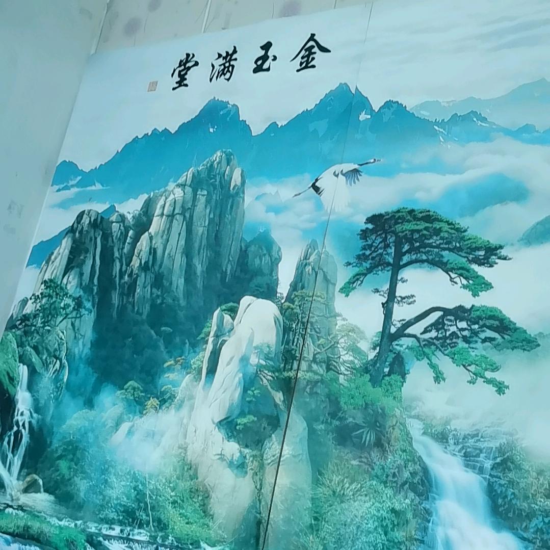 藏云一飞