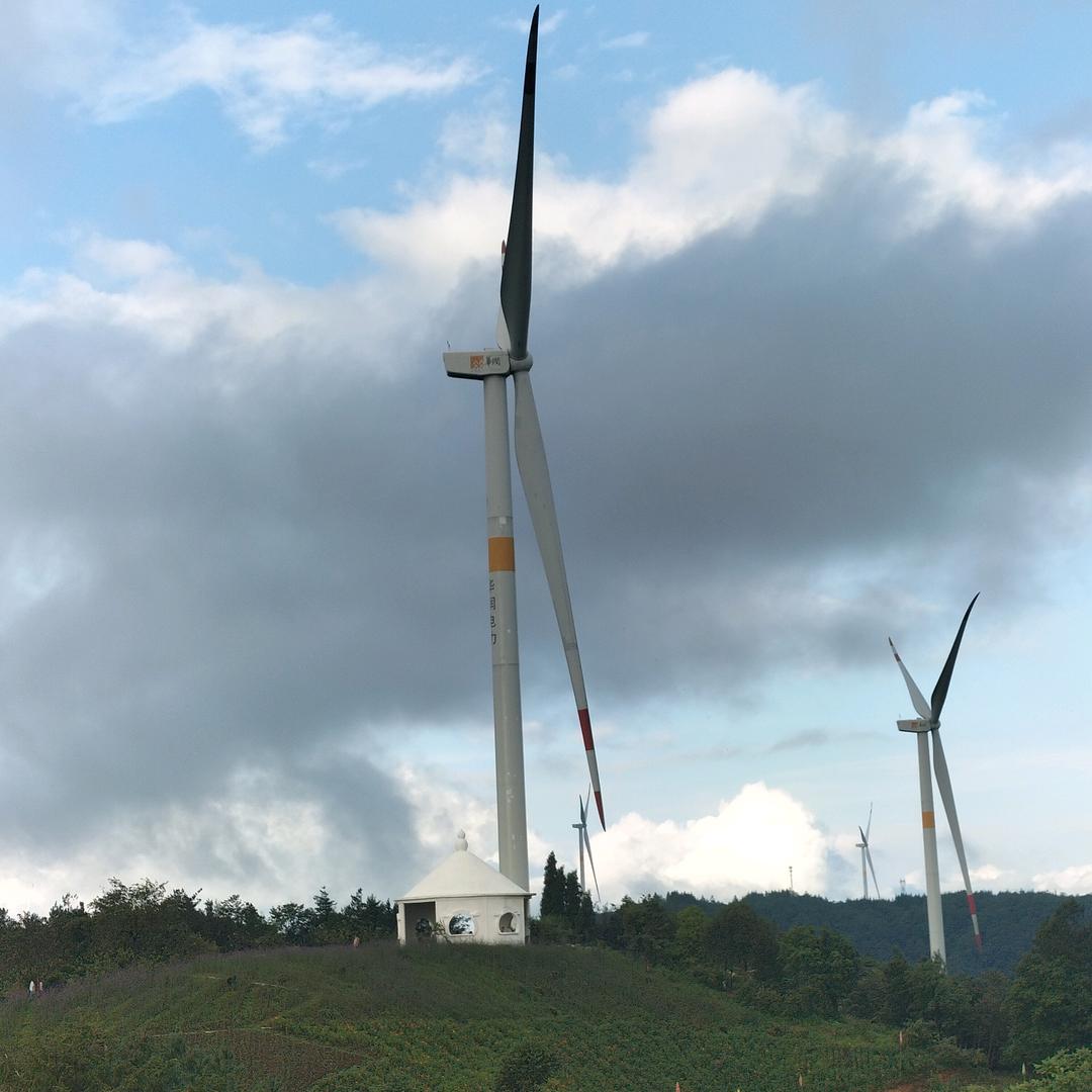 你是我今生的唯一