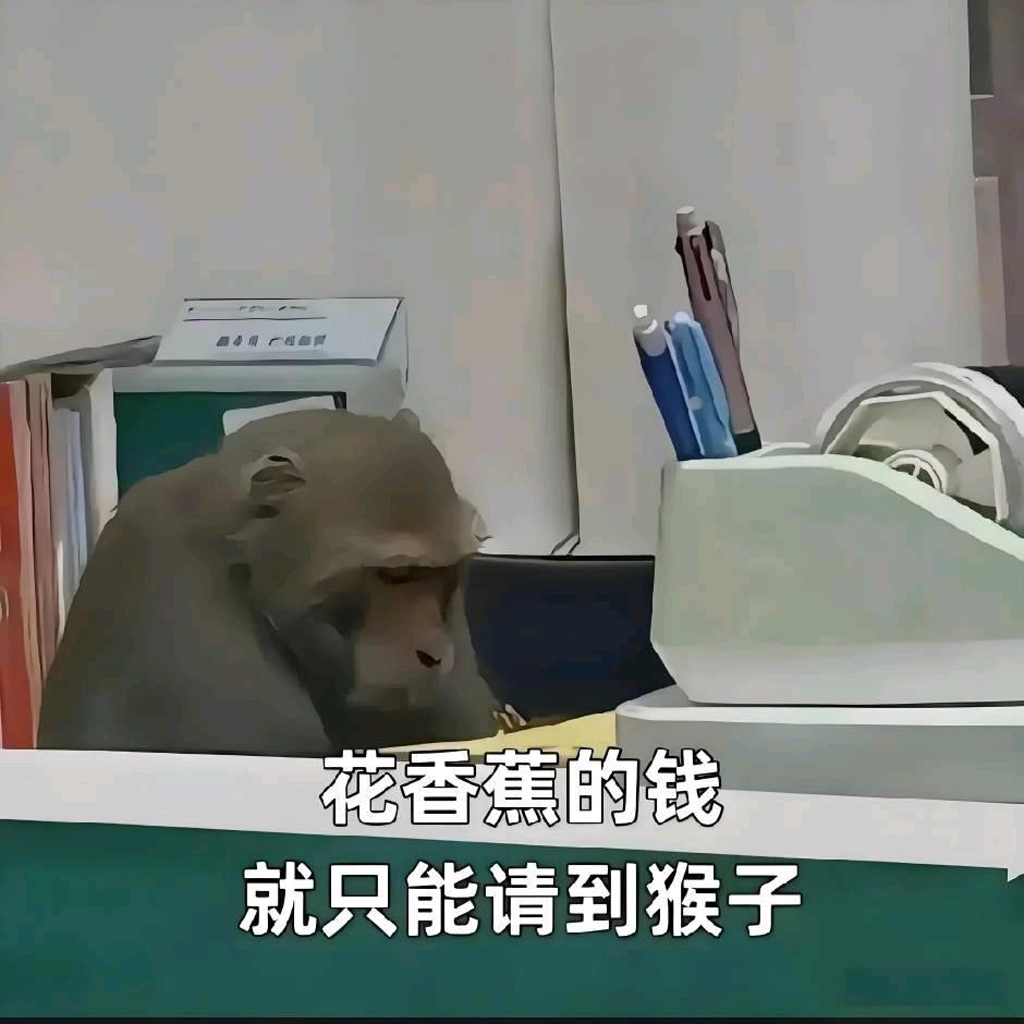 我不是元芳123（榴莲）👻🍇