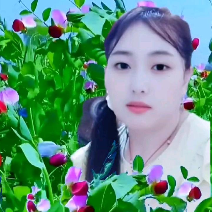 人生一夜好梦💝⭐️