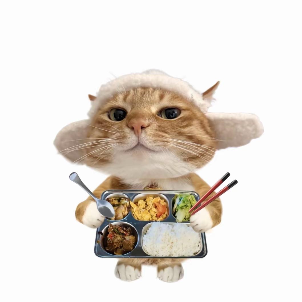 早点适应