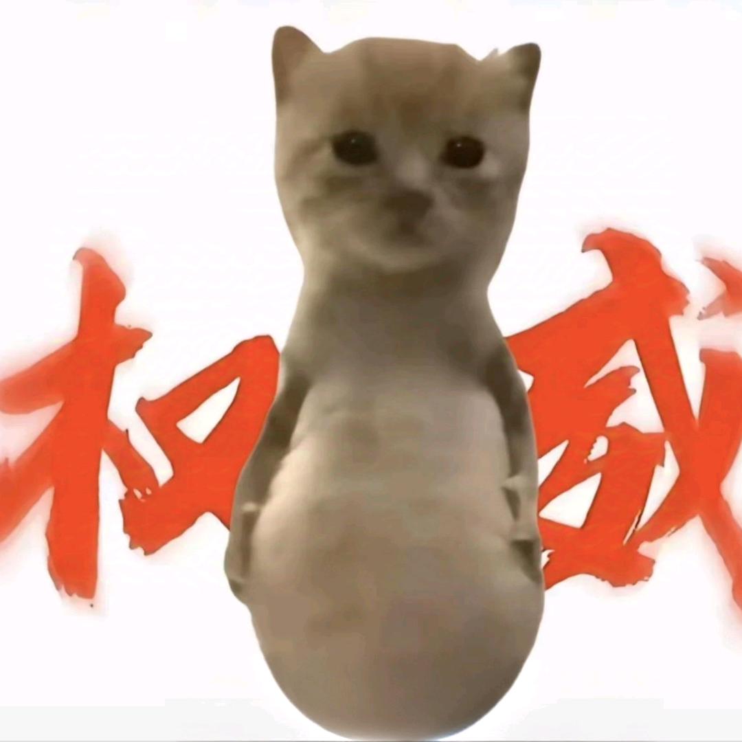 被抽到忍无可忍最终对S大打出手（舔狗版）