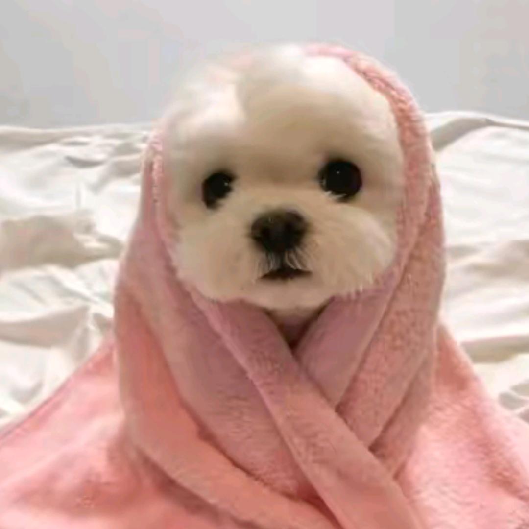 ꕥ᭄小手冰凉ꦿঞ