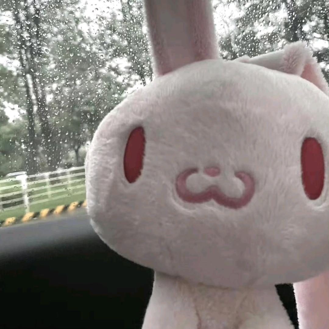 黎小胖先生🧸