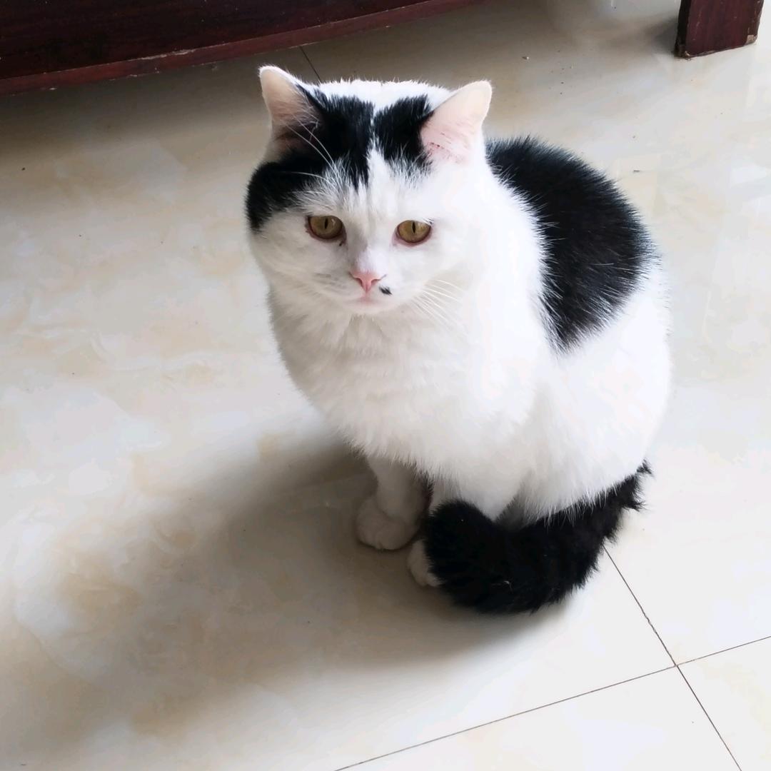 开心过好每一天。