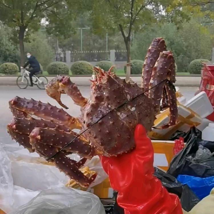 慧儿海鲜
