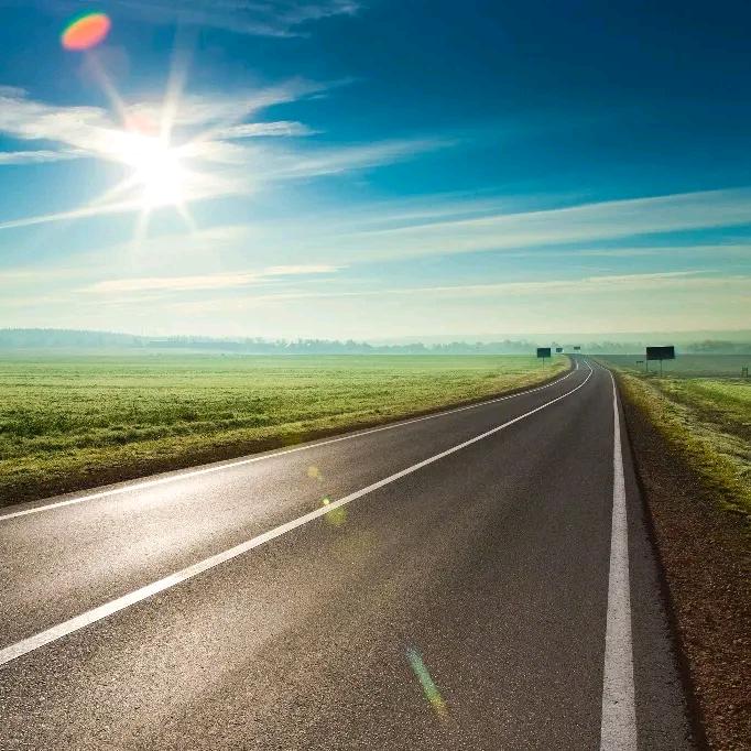 飞雪连天射白鹿