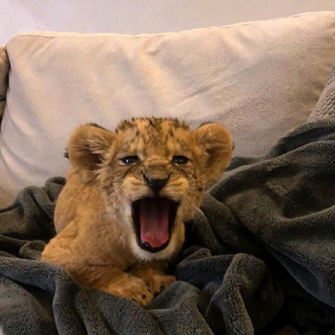 只吃Yi粒花生米.