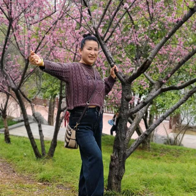 龙龙