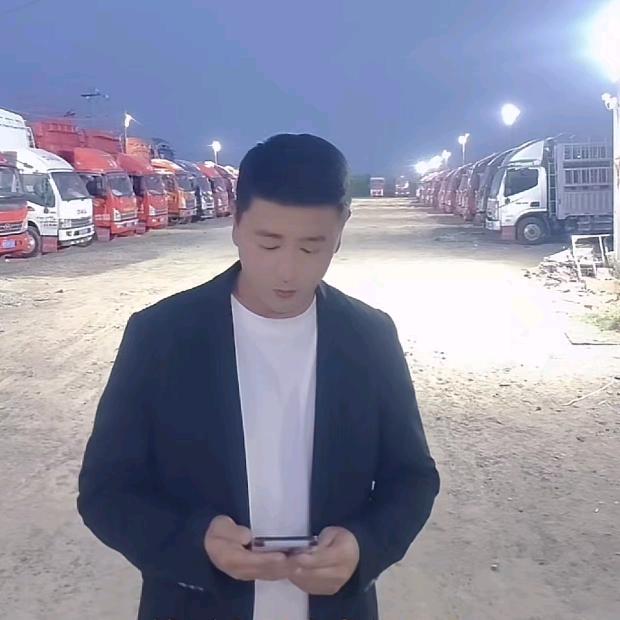 文龙二手车蓝牌货车(李威华)