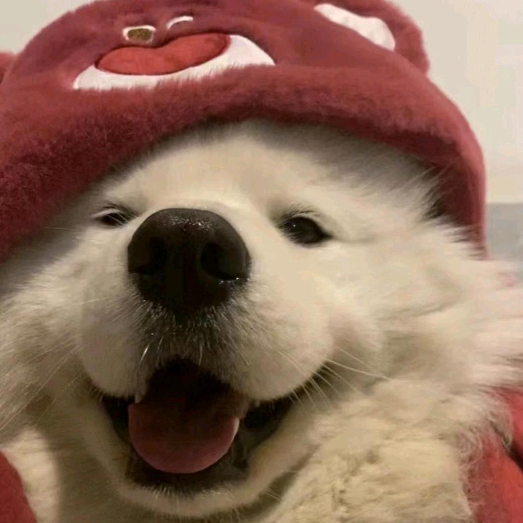瑄瑄