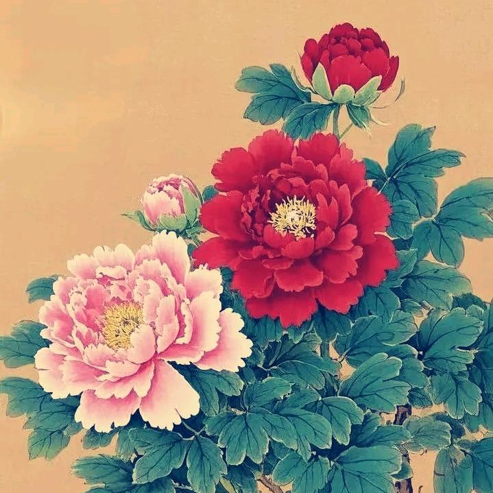 强娃子