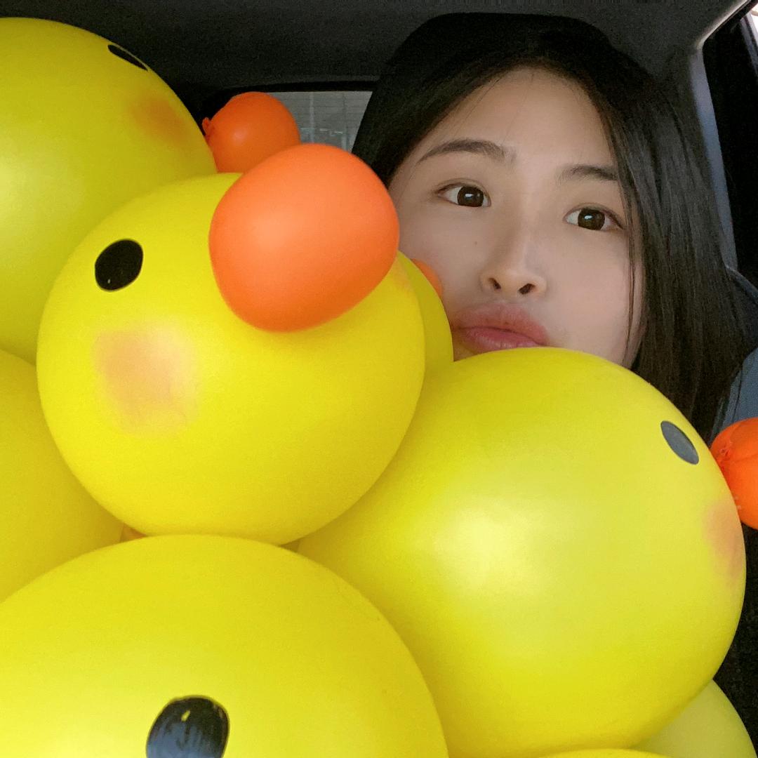 恐龙扛狼🦖