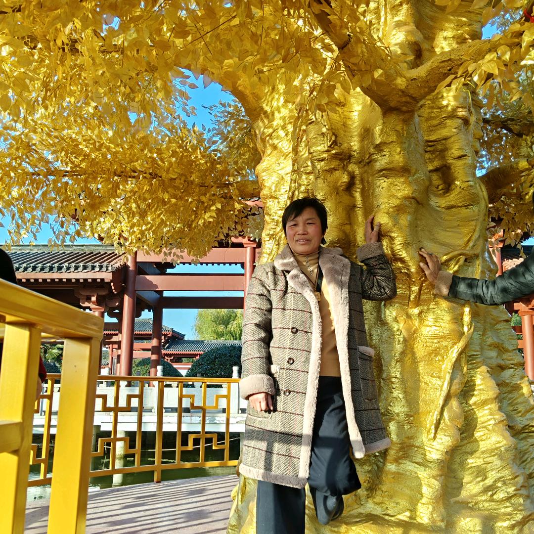 河堤镇雪梅农资