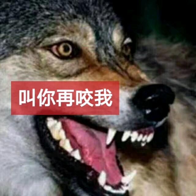 曹哥