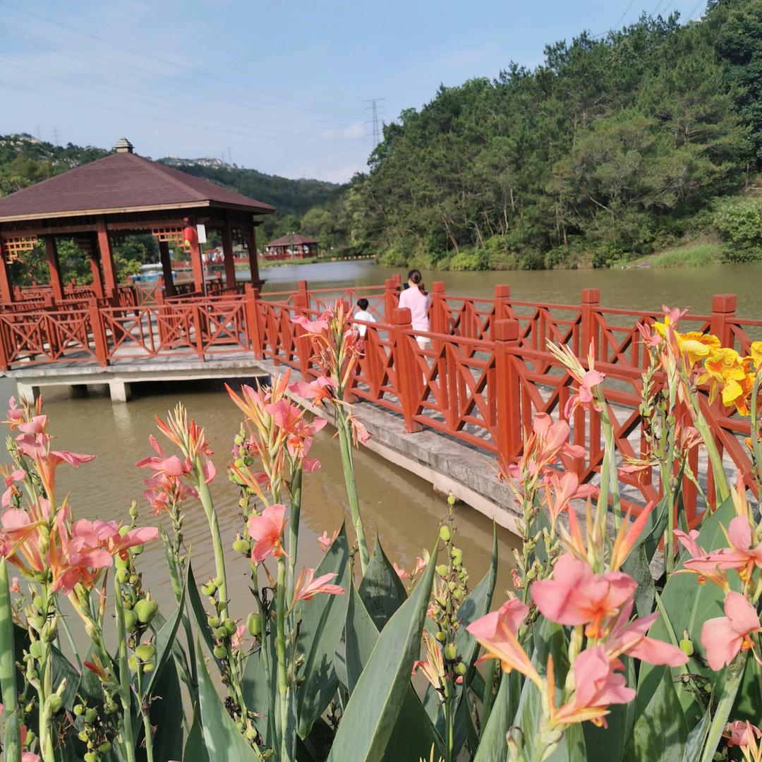 海口秀英清秋立百货商行