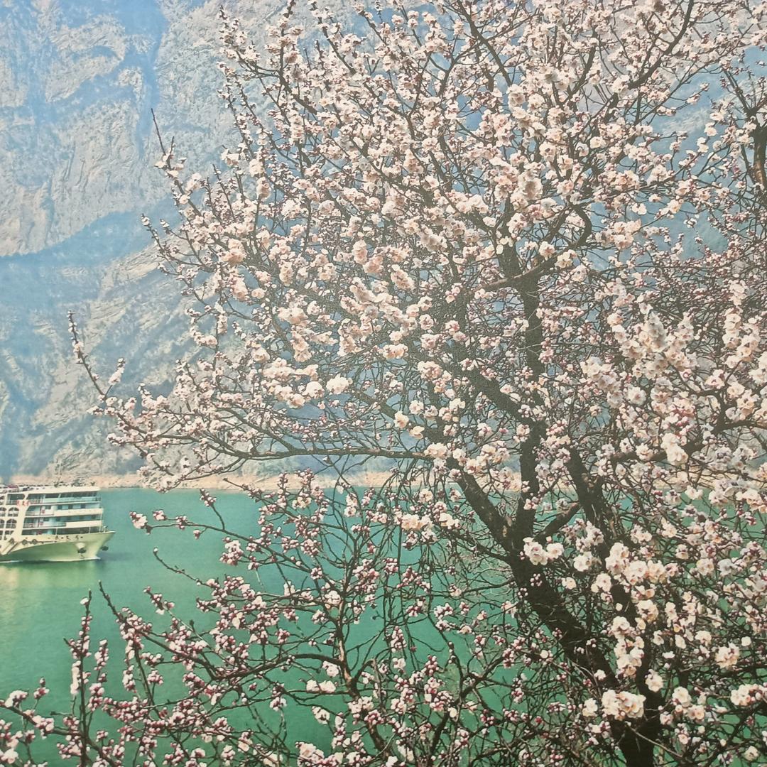 来打壹针