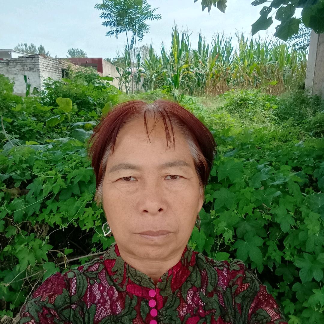 单身老板娘