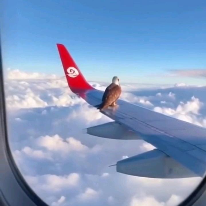 刚好遇见你