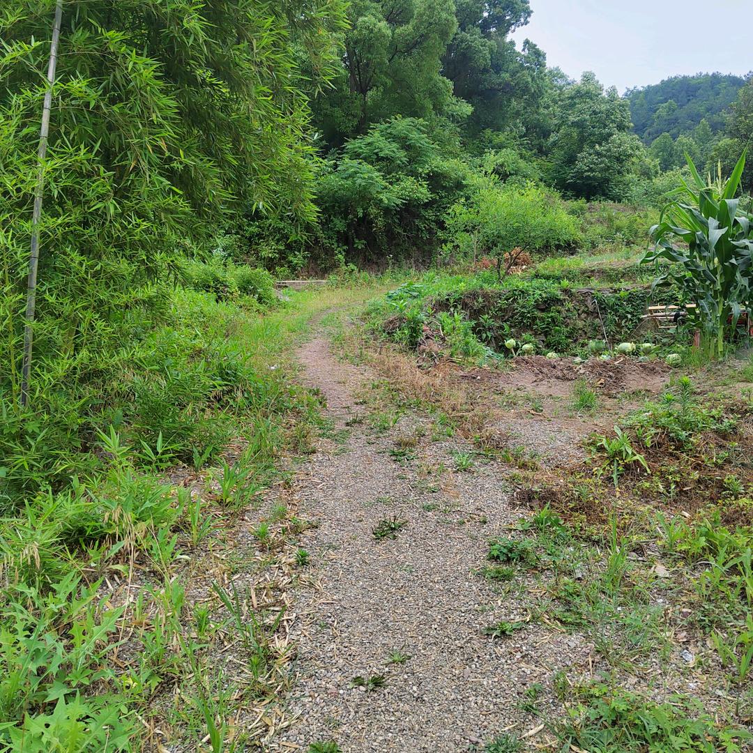 三超道人（收徒）