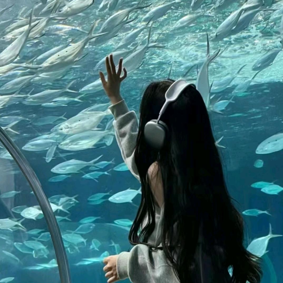 并不远(祝我拿下初级会计好吗)