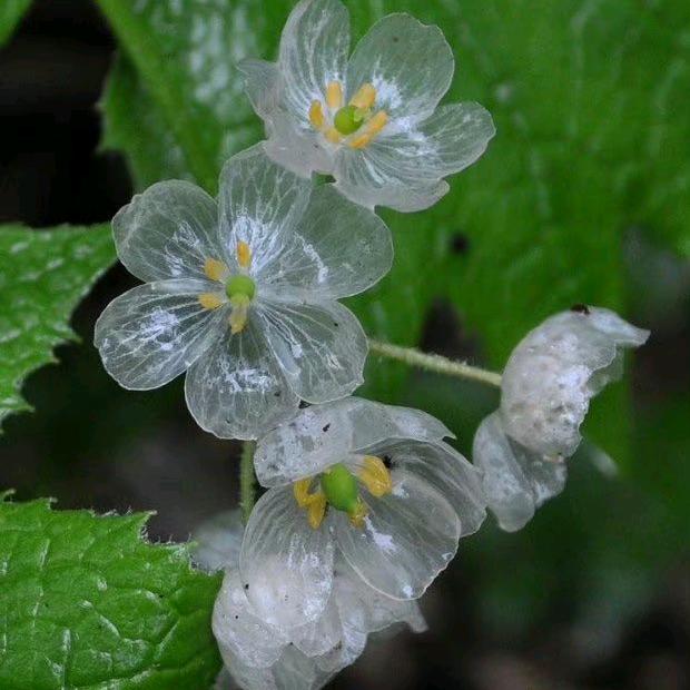 小太阳呆呆湾☀️