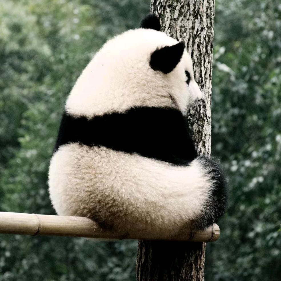 葡萄多多ing