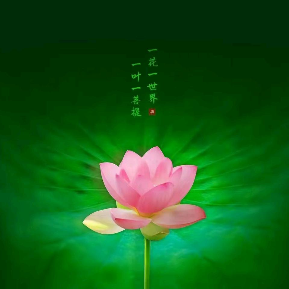 平平淡淡才是真
