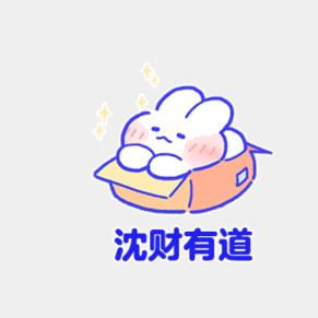 沈财有道