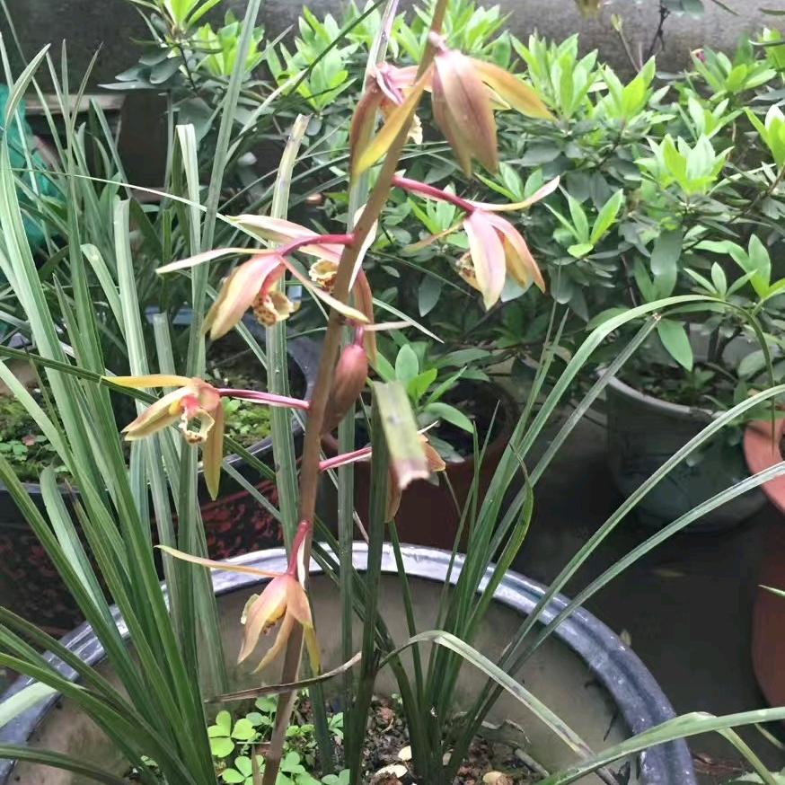 宝贝状状