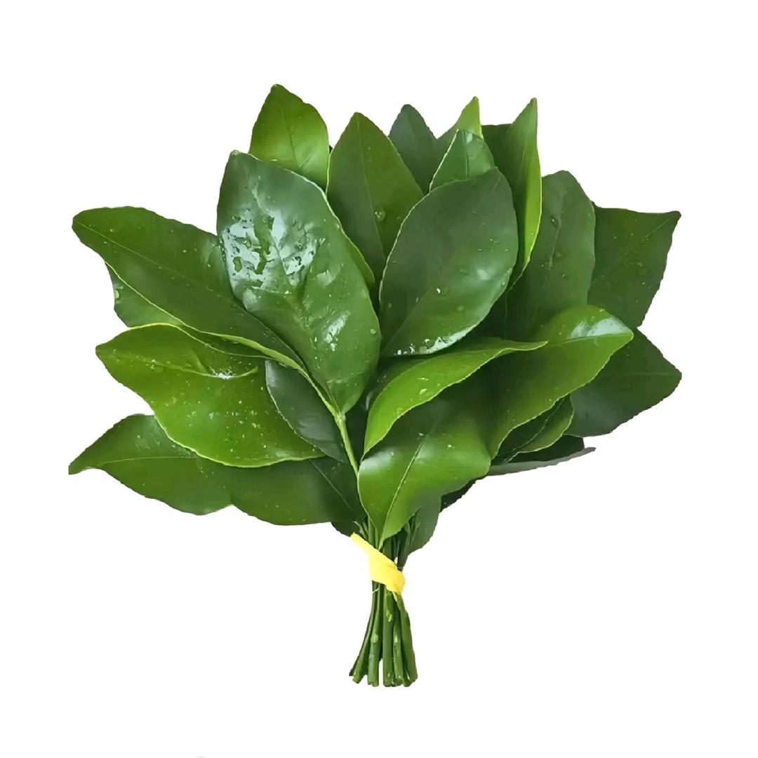 一一