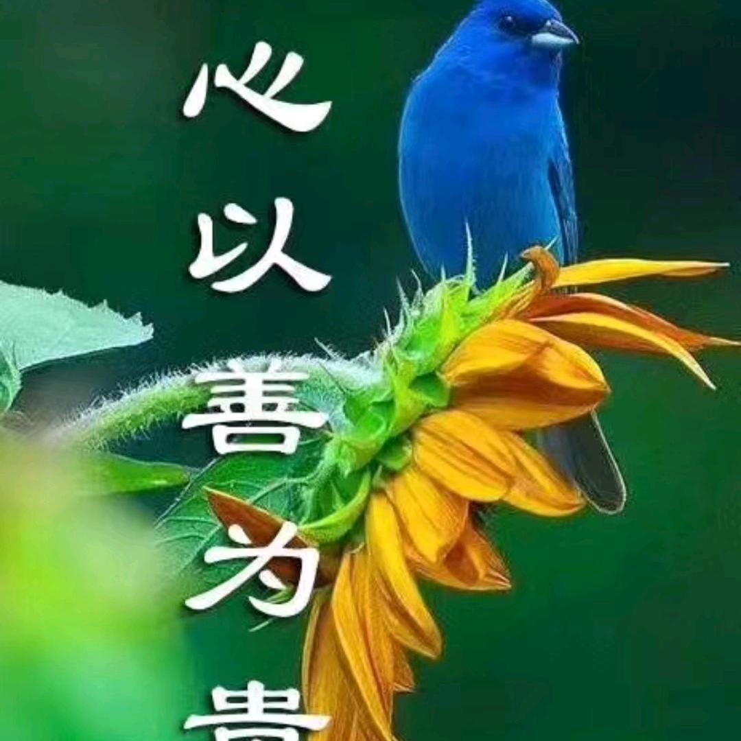 后悔无期