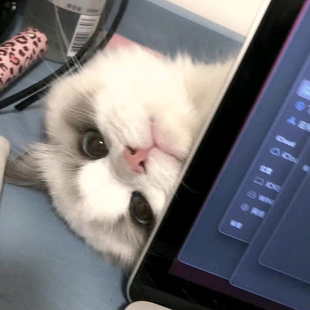 KK_