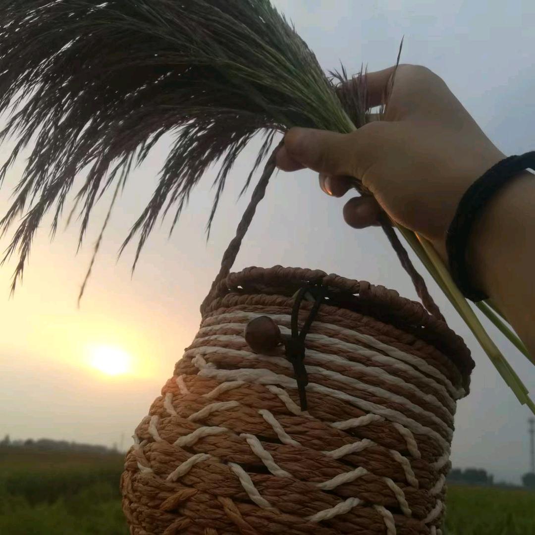梦林夕甜