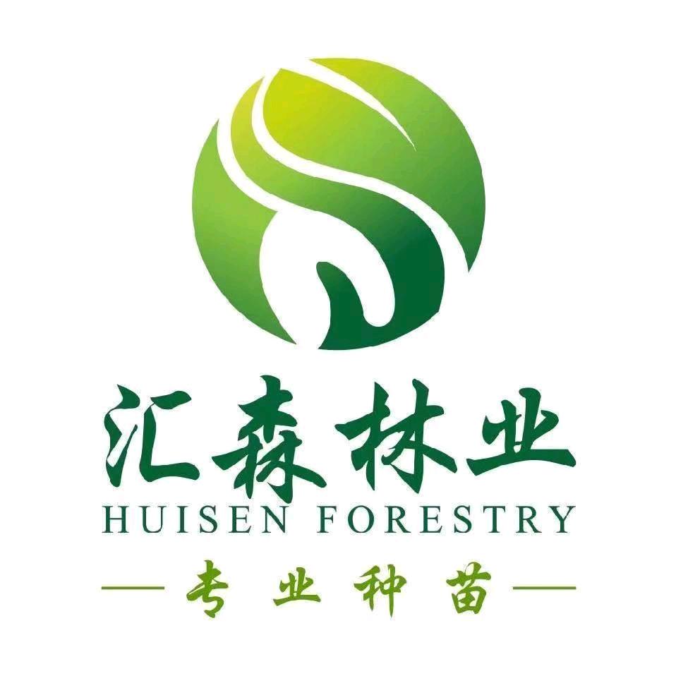 汇森林业@专业种苗