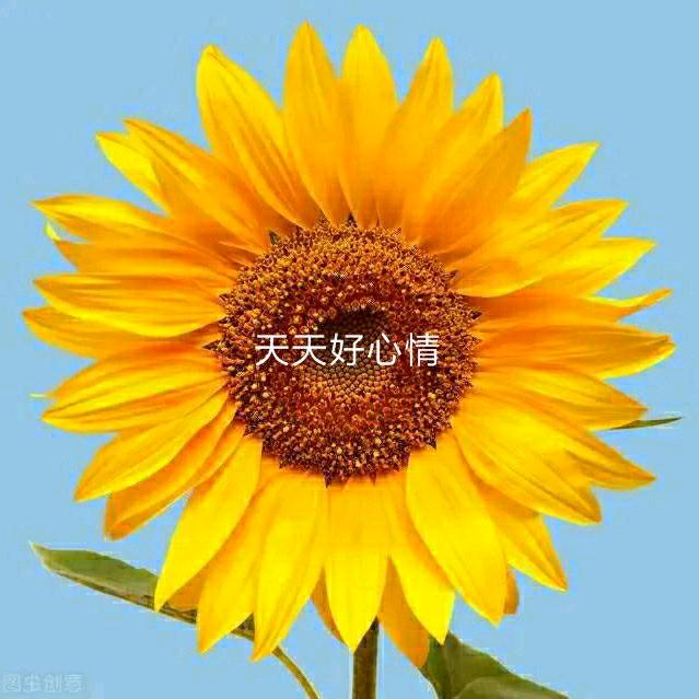 简单哥