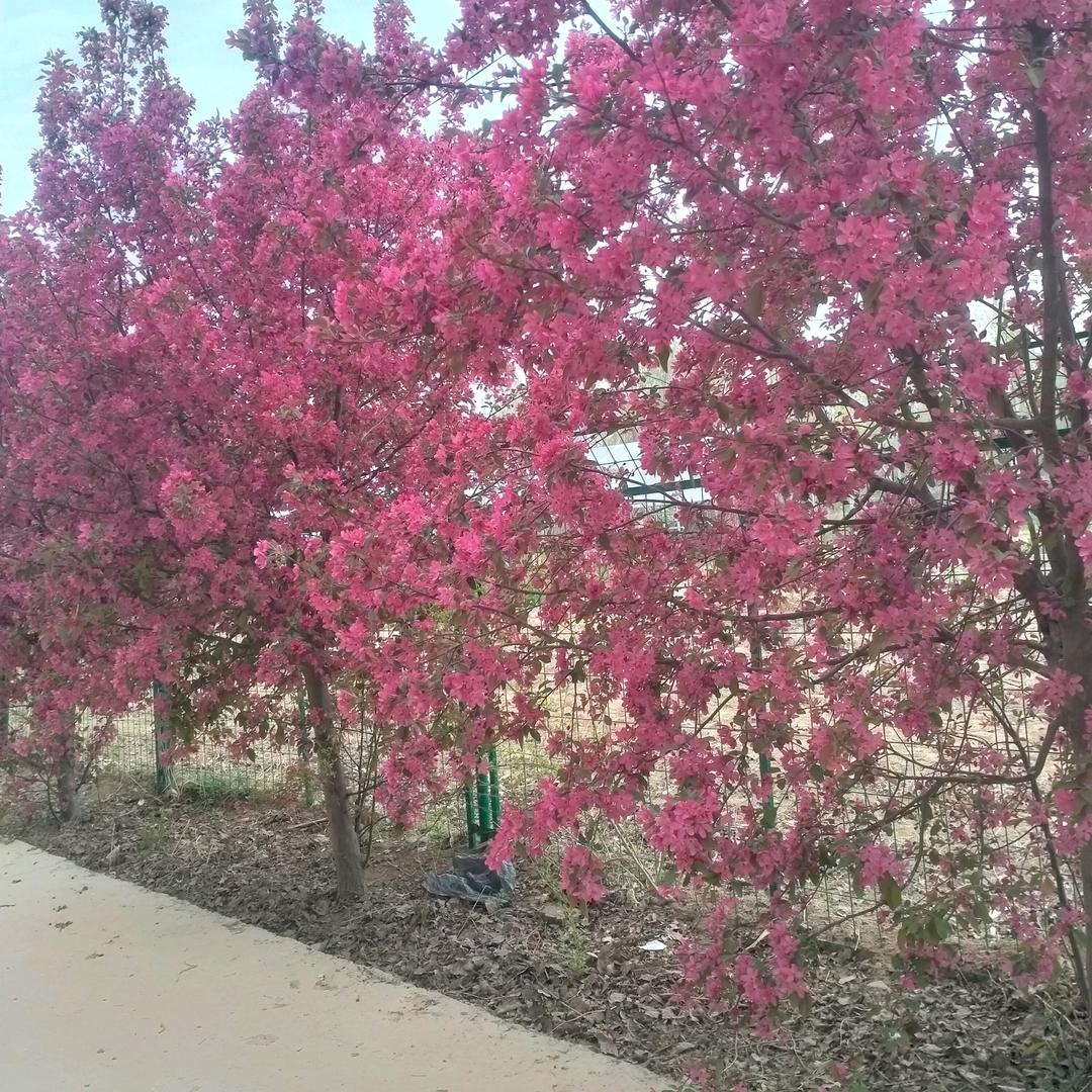 荣维华