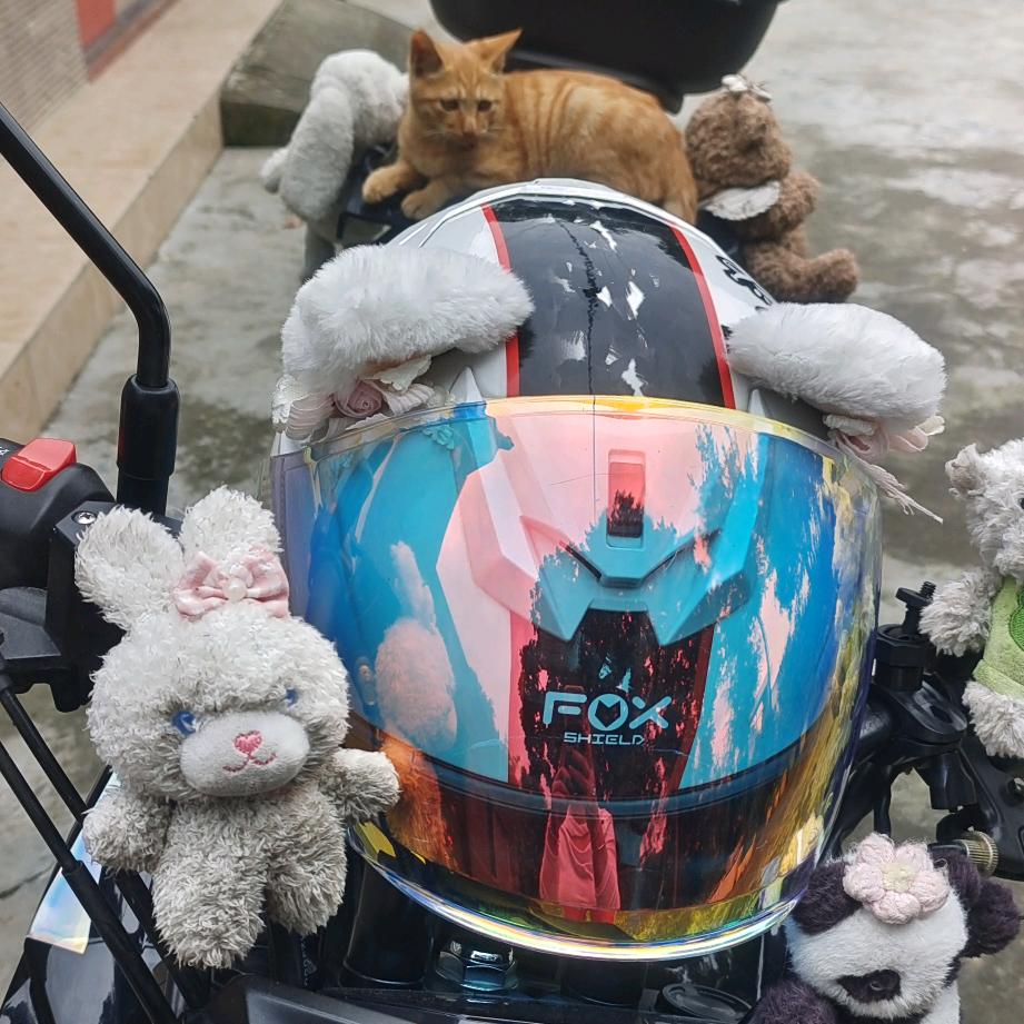 ❤️爱上摩托🛵爱上风