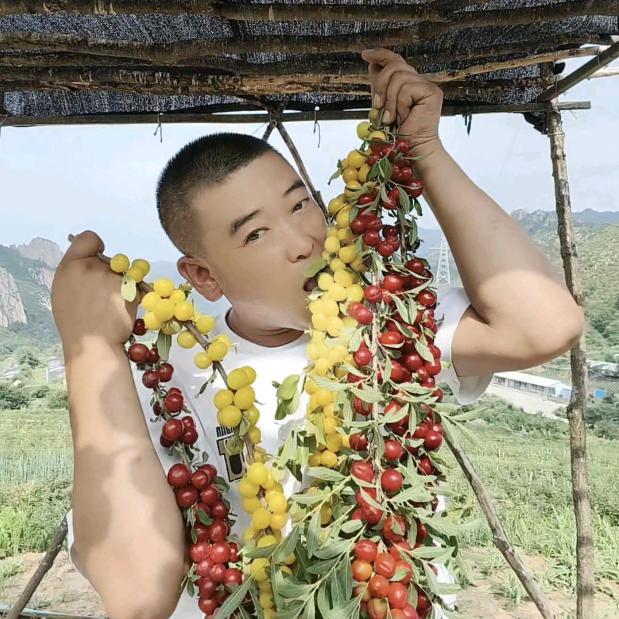 龙少山里人