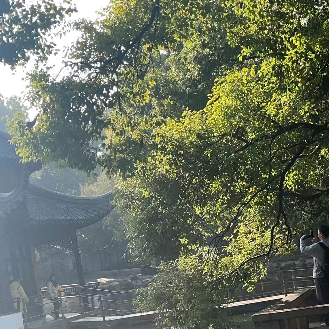 ᭄谋财ઈོ上岸࿐