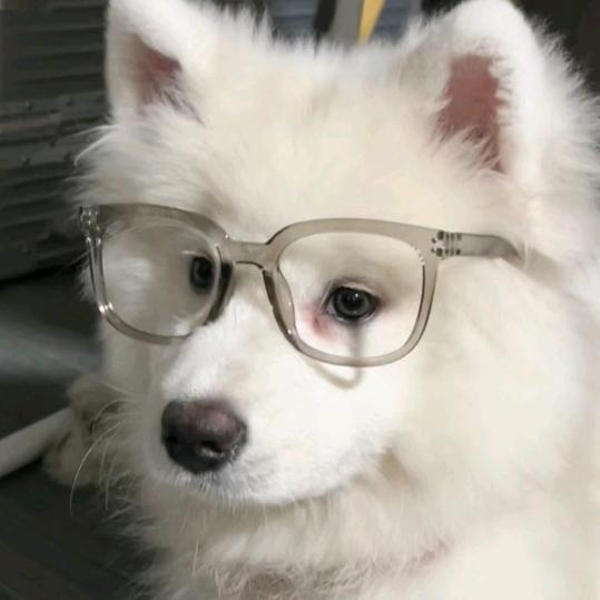 游手好闲卿大人