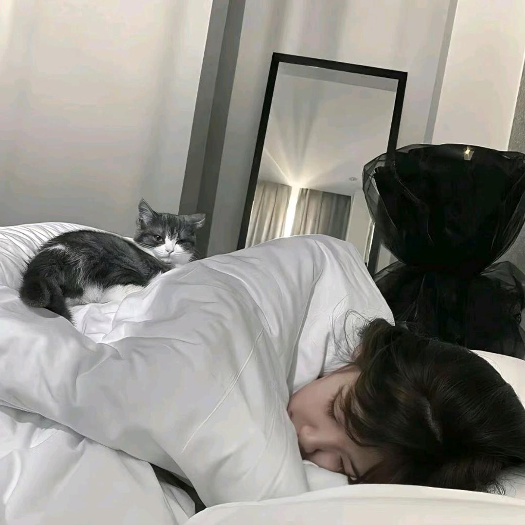 🐽