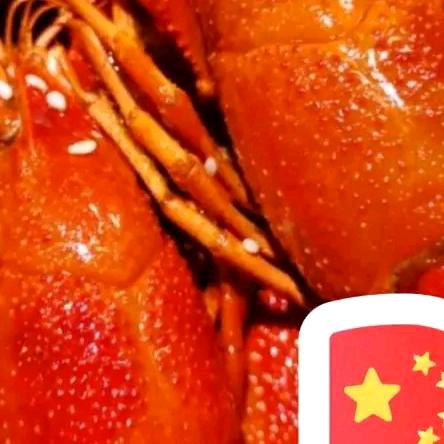 @龙虾哥（阿亮）🔥
