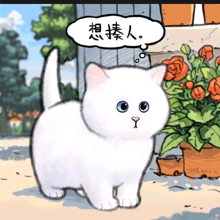 张张
