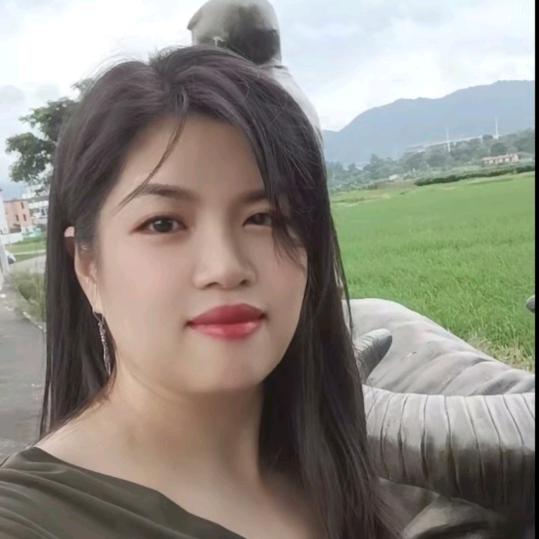 清雅竹韵