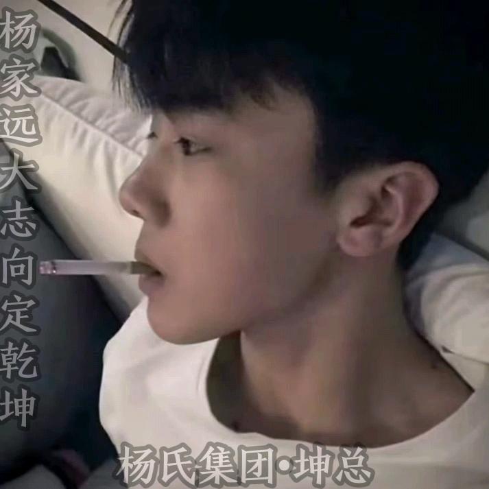 杨家远大志向定乾坤
