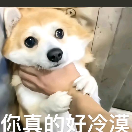 龙井虾仁