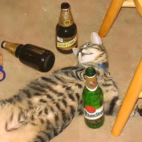 陪你看星星眨眼