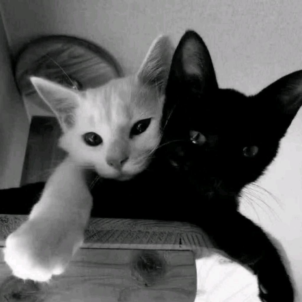 一出空调房我就不中了