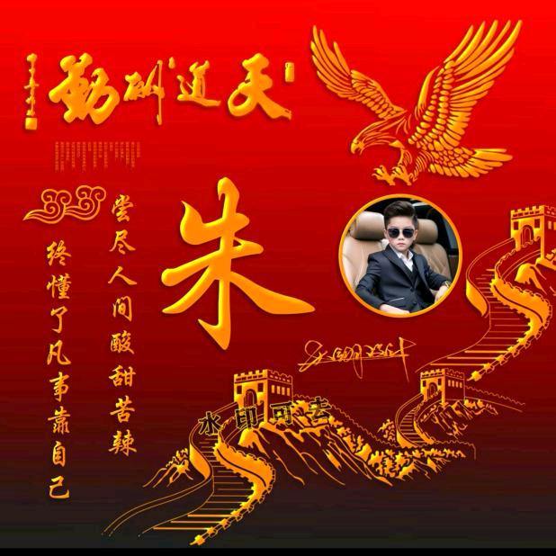 朱云龙
